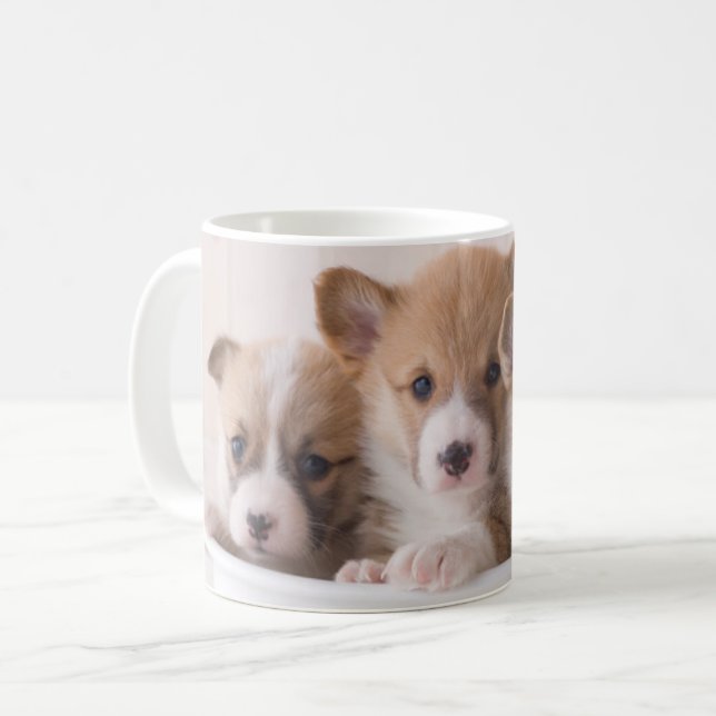Cutest Baby Animals | Cute Corgi Puppies in a Pot Coffee Mug (Front Left)