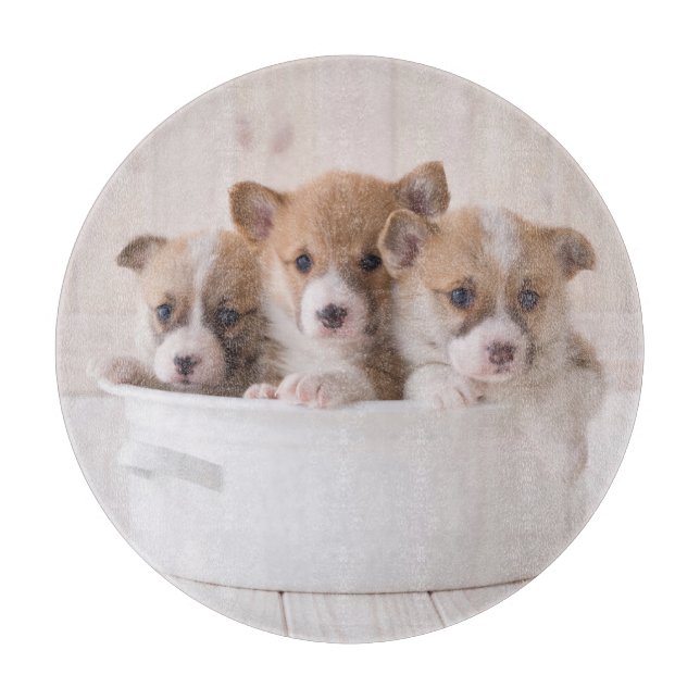 Cutest Baby Animals | Cute Corgi Puppies in a Pot Cutting Board (Front)
