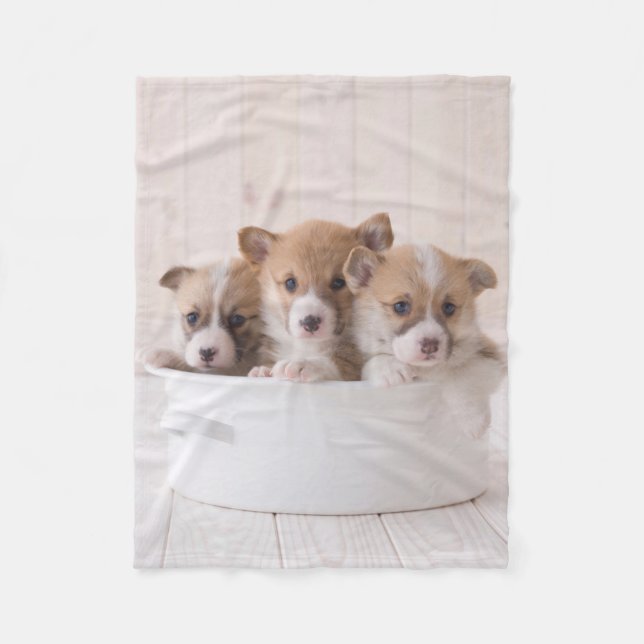 Cutest Baby Animals | Cute Corgi Puppies in a Pot Fleece Blanket (Front)