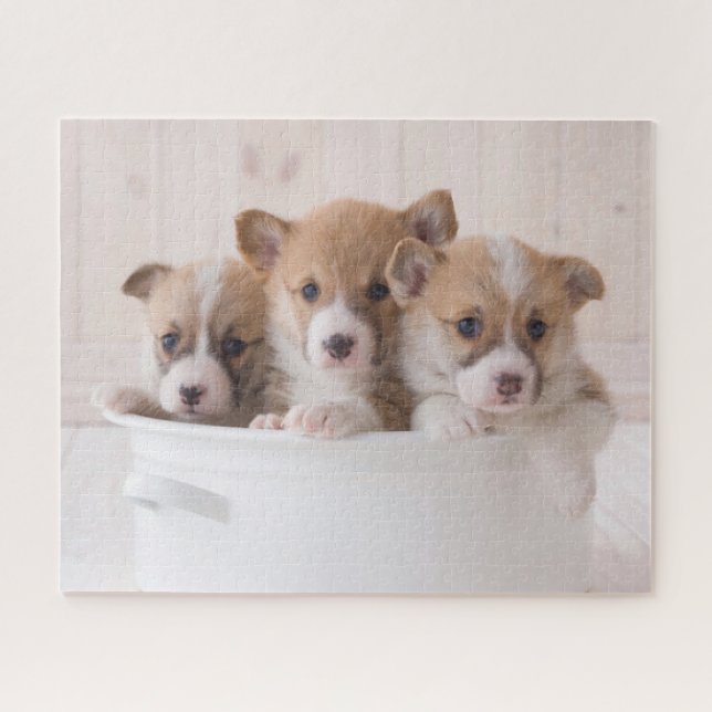 Cutest Baby Animals | Cute Corgi Puppies in a Pot Jigsaw Puzzle (Horizontal)