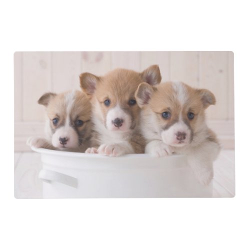 Cutest Baby Animals  Cute Corgi Puppies in a Pot Placemat