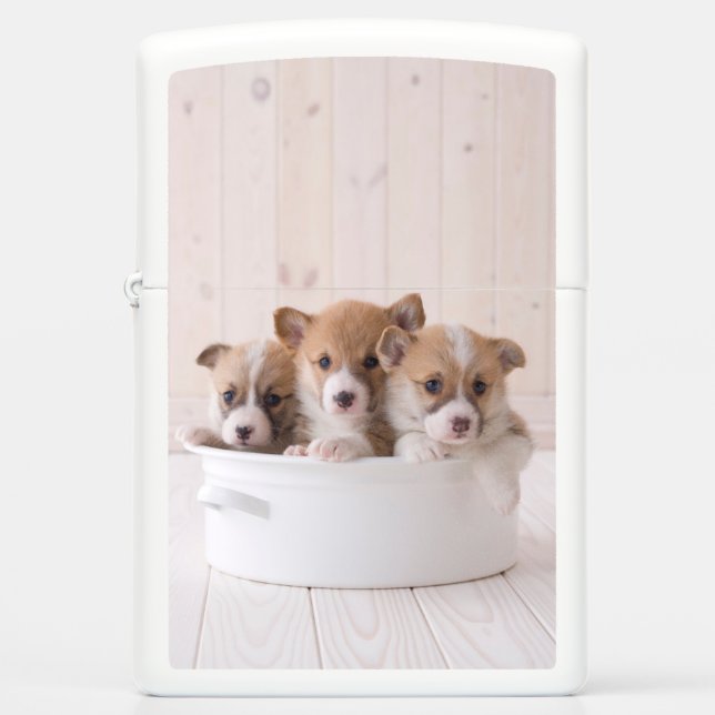 Cutest Baby Animals | Cute Corgi Puppies in a Pot Zippo Lighter (Front)