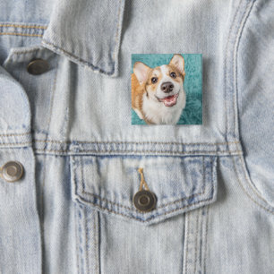 Cutest Baby Animals   Cute Corgi Puppy Smile Button