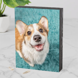 Cutest Baby Animals   Cute Corgi Puppy Smile Wooden Box Sign