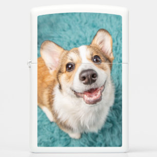 Cutest Baby Animals   Cute Corgi Puppy Smile Zippo Lighter