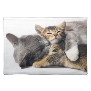 Cutest Baby Animals Cute Kitten Hug Cloth Placemat