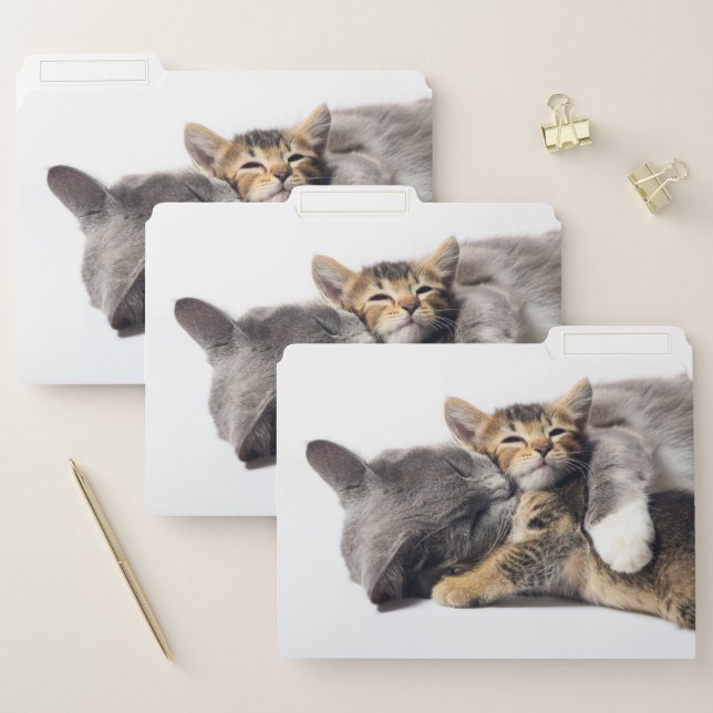 Cutest Baby Animals | Cute Kitten Hug File Folder (Set)