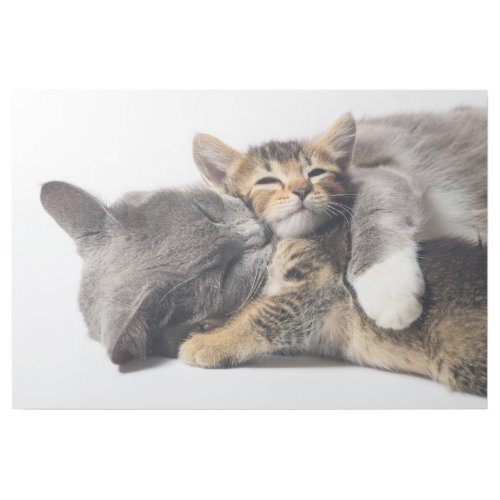 Cutest Baby Animals  Cute Kitten Hug Gallery Wrap