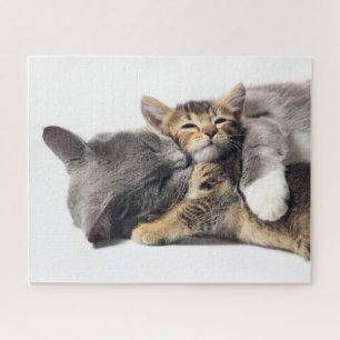 Cutest Baby Animals Cute Kitten Hug Jigsaw Puzzle