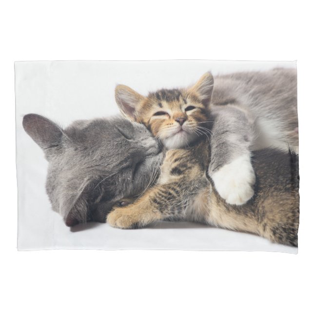 Cutest Baby Animals | Cute Kitten Hug Pillow Case (Front)