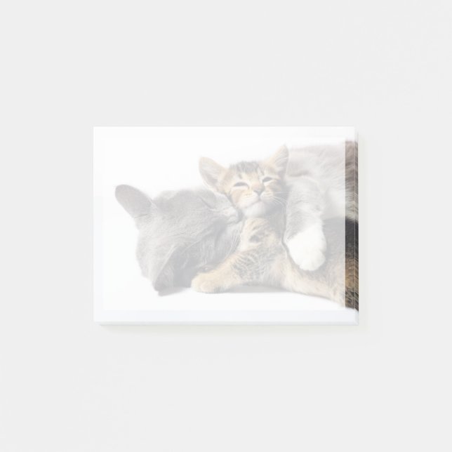 Cutest Baby Animals | Cute Kitten Hug Post-it Notes (Front)