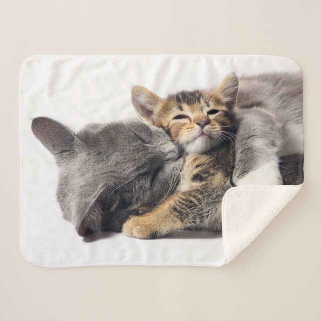 Cutest Baby Animals | Cute Kitten Hug Sherpa Blanket (Front (Horizontal))