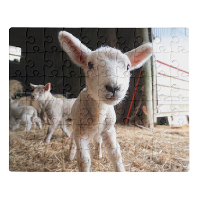 Cutest Baby Animals | Cute Lamb in a Farm Jigsaw Puzzle (Puzzle Horizontal)