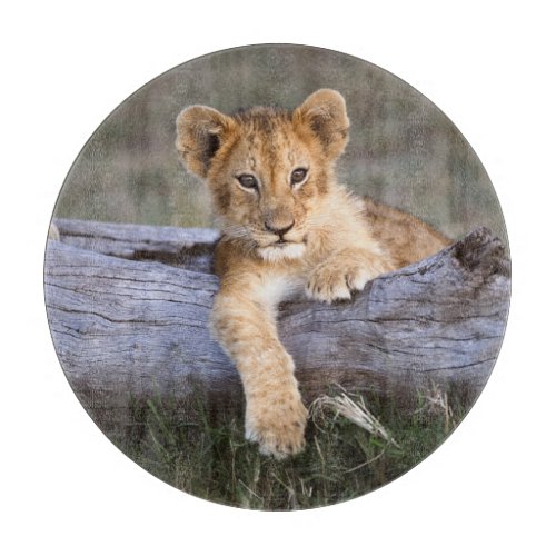 Cutest Baby Animals  Cute Lion Cub Cutting Board