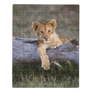 Cutest Baby Animals Cute Lion Cub Jigsaw Puzzle