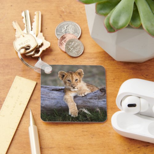 Cutest Baby Animals  Cute Lion Cub Keychain