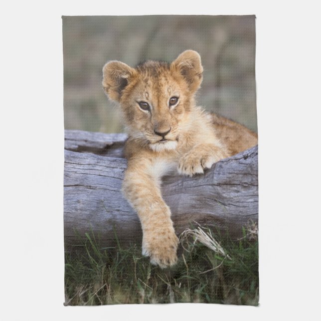 Cutest Baby Animals | Cute Lion Cub Kitchen Towel (Vertical)