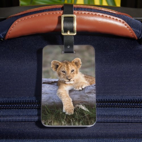 Cutest Baby Animals  Cute Lion Cub Luggage Tag