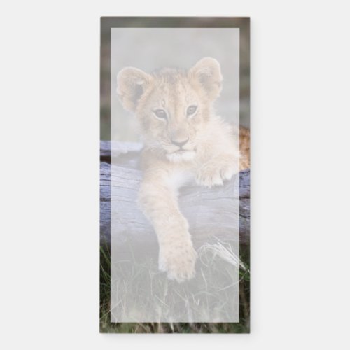 Cutest Baby Animals  Cute Lion Cub Magnetic Notepad