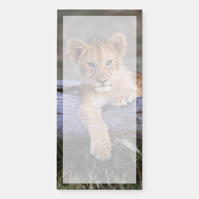 Cutest Baby Animals | Cute Lion Cub Magnetic Notepad (Front)