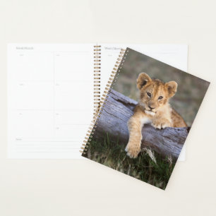 Cutest Baby Animals Cute Lion Cub Planner