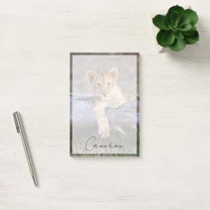 Cutest Baby Animals Cute Lion Cub Post-it Notes