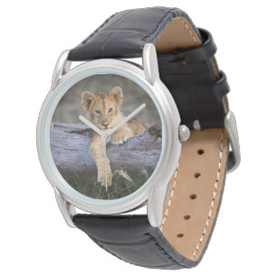 Cutest Baby Animals Cute Lion Cub Watch