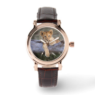 Cutest Baby Animals   Cute Lion Cub Watch