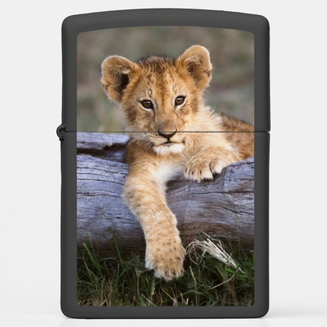 Cutest Baby Animals | Cute Lion Cub Zippo Lighter (Front)