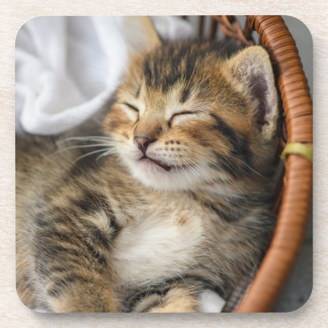 Cutest Baby Animals | Cute Tabby Cat Sleeping Beverage Coaster (Front)