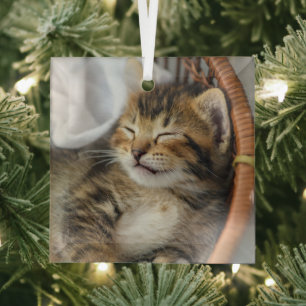 Cutest Baby Animals Cute Tabby Cat Sleeping Glass Ornament