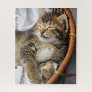 Cutest Baby Animals Cute Tabby Cat Sleeping Jigsaw Puzzle