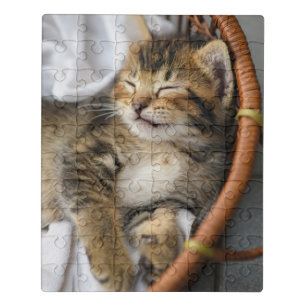 Cutest Baby Animals Cute Tabby Cat Sleeping Jigsaw Puzzle