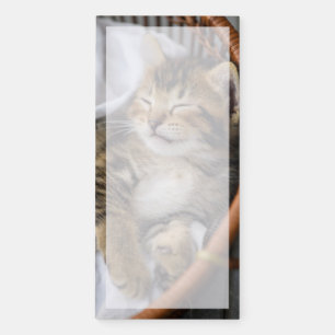 Cutest Baby Animals   Cute Tabby Cat Sleeping Magnetic Notepad