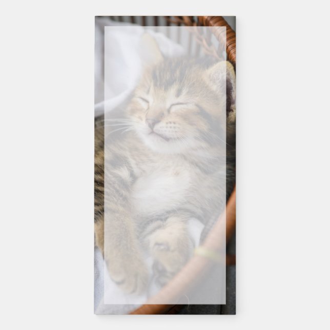 Cutest Baby Animals | Cute Tabby Cat Sleeping Magnetic Notepad (Front)