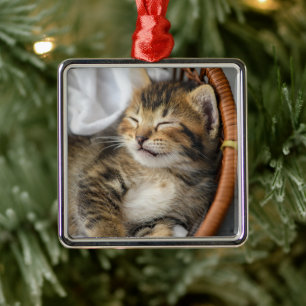 Cutest Baby Animals Cute Tabby Cat Sleeping Metal Ornament