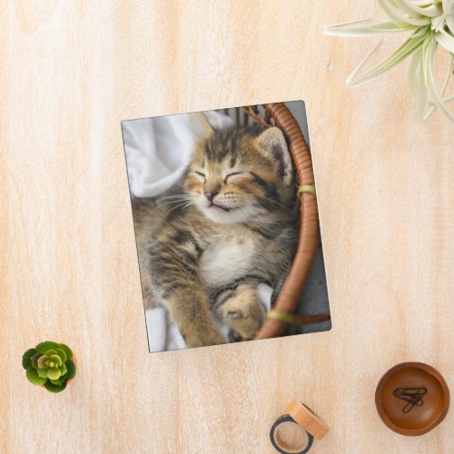 Cutest Baby Animals  Cute Tabby Cat Sleeping Mini Binder