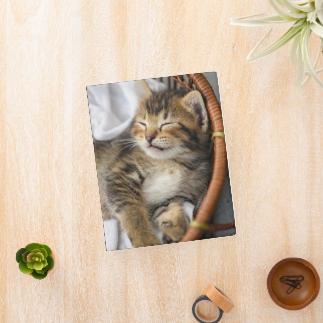 Cutest Baby Animals | Cute Tabby Cat Sleeping Mini Binder (InSitu)