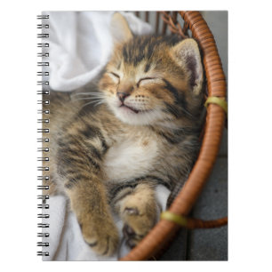 Cutest Baby Animals Cute Tabby Cat Sleeping Notebook