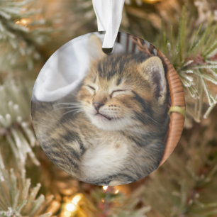 Cutest Baby Animals Cute Tabby Cat Sleeping Ornament