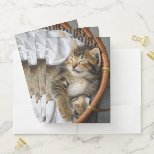 Cutest Baby Animals Cute Tabby Cat Sleeping Pocket Folder