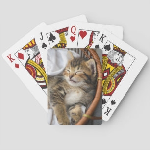 Cutest Baby Animals   Cute Tabby Cat Sleeping Poker Cards