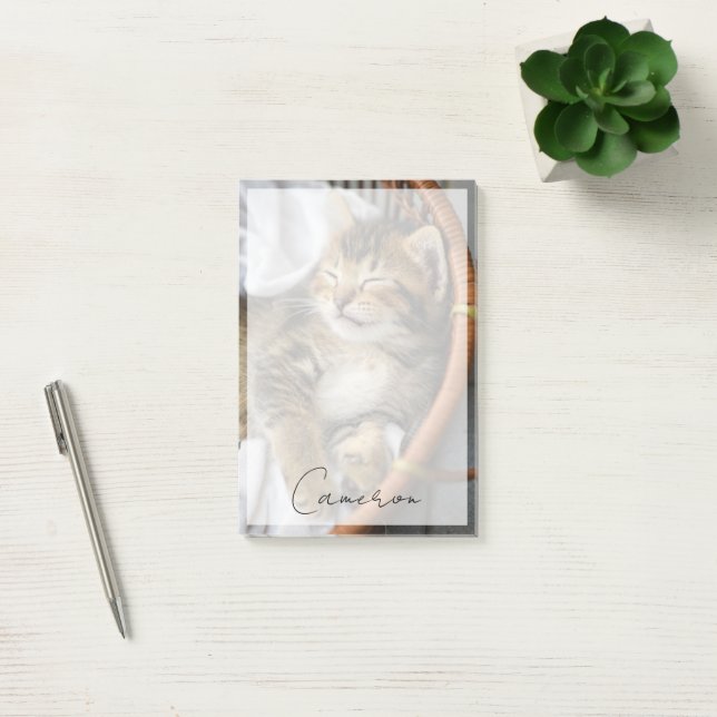 Cutest Baby Animals | Cute Tabby Cat Sleeping Post-it Notes (Office)