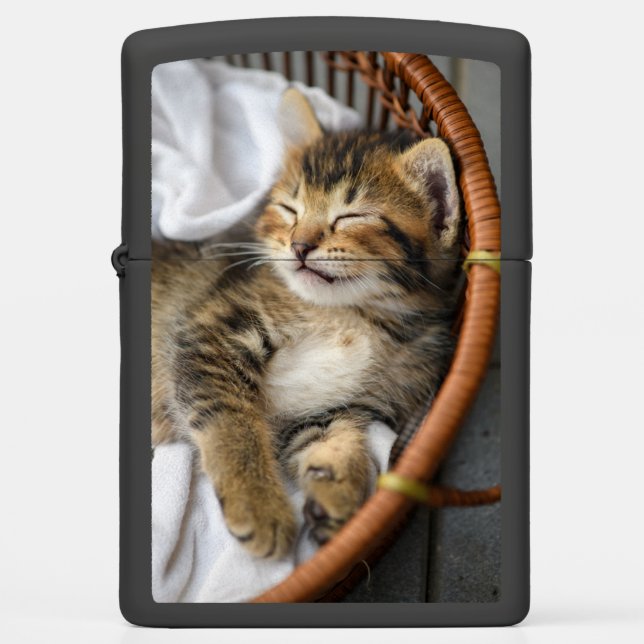 Cutest Baby Animals | Cute Tabby Cat Sleeping Zippo Lighter (Front)