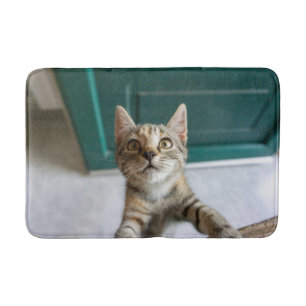Cutest Baby Animals   Cute Tabby Kitten Bath Mat