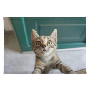 Cutest Baby Animals Cute Tabby Kitten Cloth Placemat