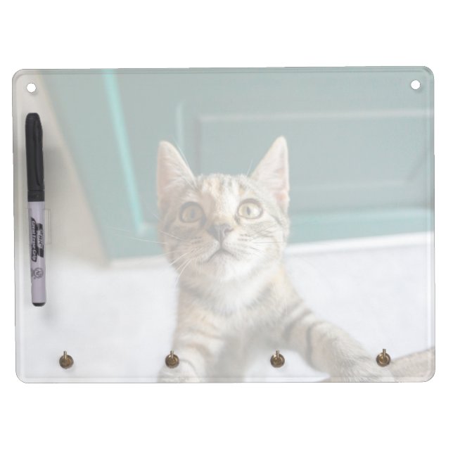 Cutest Baby Animals | Cute Tabby Kitten Dry Erase Board With Keychain Holder (Front)