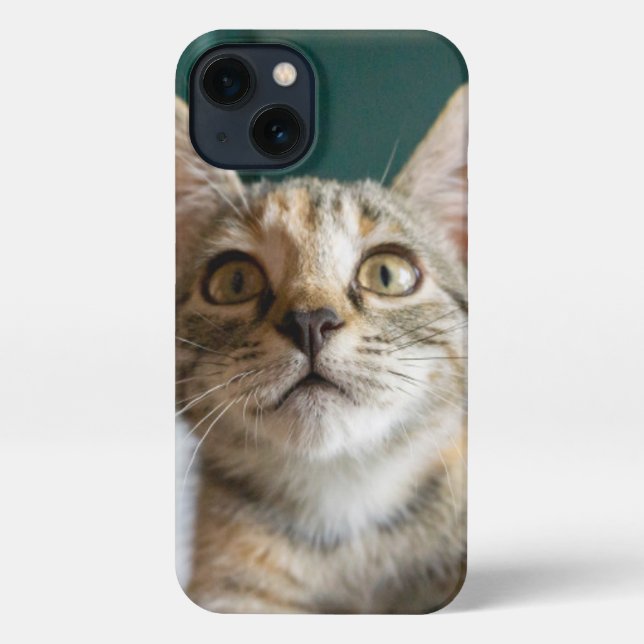 Cutest Baby Animals | Cute Tabby Kitten iPhone Case (Back)
