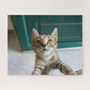 Cutest Baby Animals Cute Tabby Kitten Jigsaw Puzzle