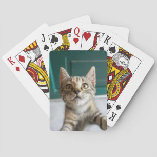 Cutest Baby Animals Cute Tabby Kitten Poker Cards